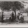 Sunday afternoon at a migratory camp in Vienna, Maryland.