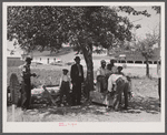 Sunday afternoon at a migratory camp in Vienna, Maryland.