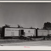 Loading tomatoes from the Long Brothers Packing Company into freight cars for shipment. Near Westover, Maryland.