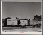 Loading tomatoes from the Long Brothers Packing Company into freight cars for shipment. Near Westover, Maryland.