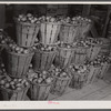 Baskets of green tomatoes at a farm near Westover, Maryland.