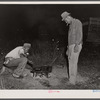 Mirgratory agricultural workers from the grading station at Belcross, North Carolina, cook their own supper of potatoes and salt pork.