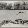 Corpses