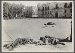 Corpses