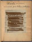 Magicians' wands from the collection of Dr. Saram R. Ellison