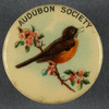 Audubon Society pin