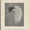 Fall Styles 1906