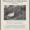 The fate of the unguarded egrets