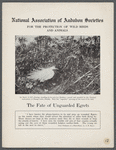 The fate of the unguarded egrets