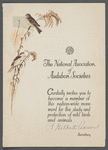 The National Association of Audubon Societies membership invitation