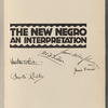 The New Negro : an interpretation
