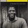 A Raisin in the Sun playbill