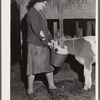 Mary Dralick, sewing machine operator at "Levine & Levine ladies coats." Shown on her father's farm near Colchester, Connecticut. After a day's work at the shop she helps with the milking and feeding of the cows.