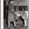Mary Dralick, sewing machine operator at "Levine & Levine ladies coats." Shown on her father's farm near Colchester, Connecticut. After a day's work at the shop she helps with the milking and feeding of the cows.
