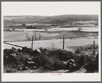 Eastern Connecticut landscape showing stone fences. Near Baltic, Connecticut.