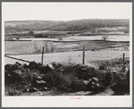 Eastern Connecticut landscape showing stone fences. Near Baltic, Connecticut.