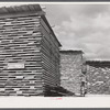 Hurricane timber. Ledyard, Connecticut.