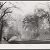 Burning the autumn leaves on Broadway in Norwich, Connecticut.