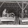 Stripping tobacco on the farm of William and Martin O'Donnell. The three workers in the back are Polish hired helpers. Windsorville, Connecticut.