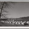 Baltic, Connecticut. In the background is the Baltic cotton mill.