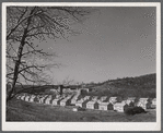 Baltic, Connecticut. In the background is the Baltic cotton mill.