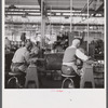 Old workmen at Hamilton Standard Propeller Corporation. East Hartford, Connecticut.