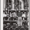 Cylinders for Pratt and Whitney engines being painted. East Hartford, Connecticut.