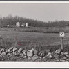 Eastern Connecticut farmscape showing characteristic rocky land. Near Colchester, Connecticut.