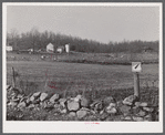 Eastern Connecticut farmscape showing characteristic rocky land. Near Colchester, Connecticut.