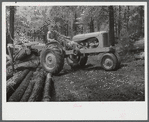 Bringing in the logs at a small sawmill works in southern Greene County, Georgia.