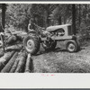 Bringing in the logs at a small sawmill works in southern Greene County, Georgia.