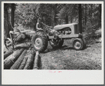 Bringing in the logs at a small sawmill works in southern Greene County, Georgia.