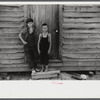 Children of William Corneal, farmer who must move out of the area being taken over by the army for maneuver grounds in Caroline County, Virginia.