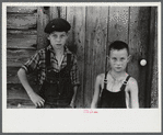 Children of William Corneal, farmer who must move out of the area being taken over by the army for maneuver grounds in Caroline County, Virginia.