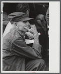 Spectator at an auction in East Albany, Vermont.