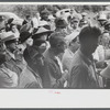 Spectators at an auction in East Albany, Vermont.