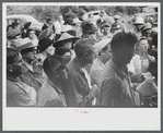 Spectators at an auction in East Albany, Vermont.