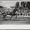 Sulky racing at the Rutland Fair, Rutland, Vermont