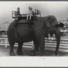 A ride on the elephant at the Champlain Valley Exposition, Essex Junction, Vermont.