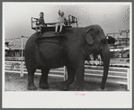 A ride on the elephant at the Champlain Valley Exposition, Essex Junction, Vermont.