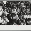 Spectators at the sulky races at the Rutland Fair, Vermont.