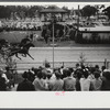 At the finish line of the sulky races at the Rutland Fair, Vermont.
