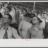 Spectators at the sulky races at the Rutland Fair, Vermont.
