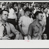 Spectators at the sulky races at the Rutland Fair, Vermont.