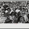 Spectators at the sulky races at the Rutland Fair, Vermont.