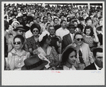 Spectators at the sulky races at the Rutland Fair, Vermont.