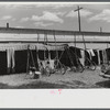 At the sulky races at the Rutland Fair, Rutland, Vermont.