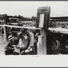 Spectators at the sulky races at the Rutland Fair, Vermont.