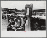 Spectators at the sulky races at the Rutland Fair, Vermont.