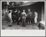 At the sulky races, Rutland Fair, Rutland, Vermont.